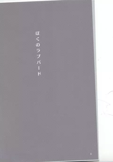 ぼくのラブバード