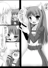 (C76) [Evo.R.B (Takayuki Hiyori)] Ookami to Yoi no Sakana (Spice and Wolf)