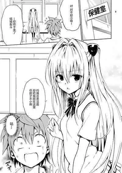 Ecchii no wa Kirai desu ka?