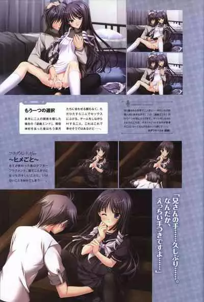 Tasogare no Sinsemilla Official Visual Fan book