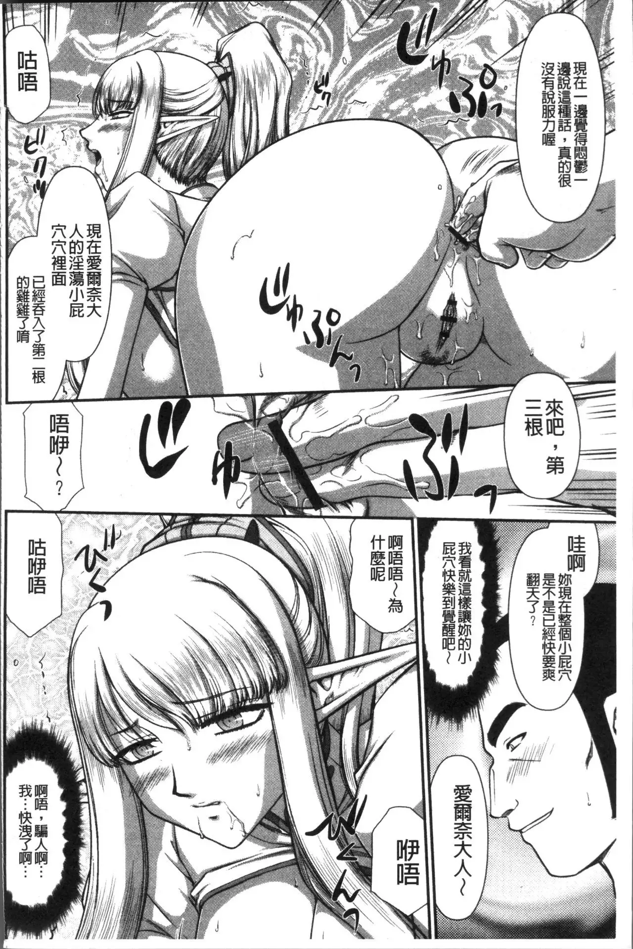 Inraku no Seijo Elvine