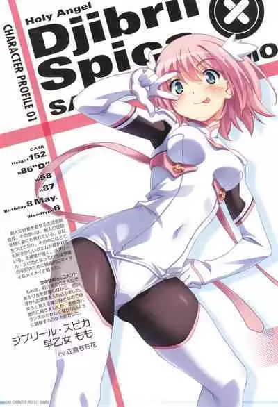 Makai Tenshi Djibril 4 Official Fanbook