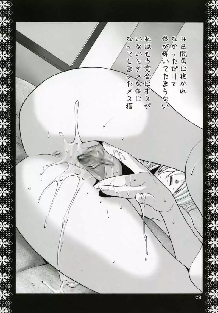 Mithra Choukyou Enikki