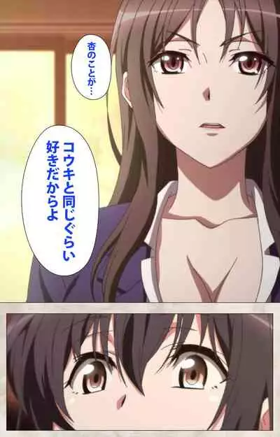 Ane Yome Quartet Kanzenban