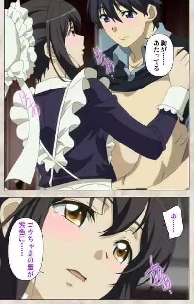 Ane Yome Quartet Kanzenban