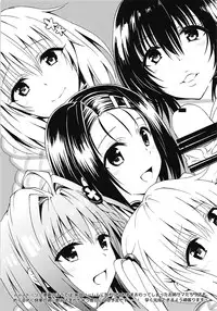 (C91) [Samurai Ninja GREENTEA] Samurai Ninja GREENTEA FuyuComi C91 Event Gentei Sasshi (To LOVE-Ru)