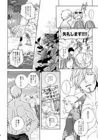 (C88) [Kyozoya (Kunoichi)] GINGER (One Piece)