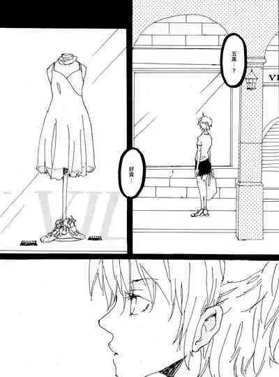 Heliotrope |日光菊