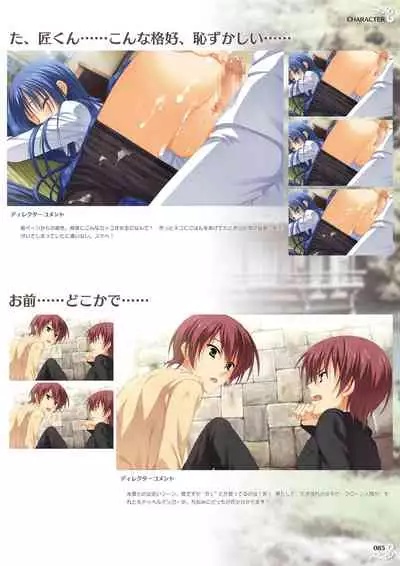 NobleWorks Official Visual Fanbook