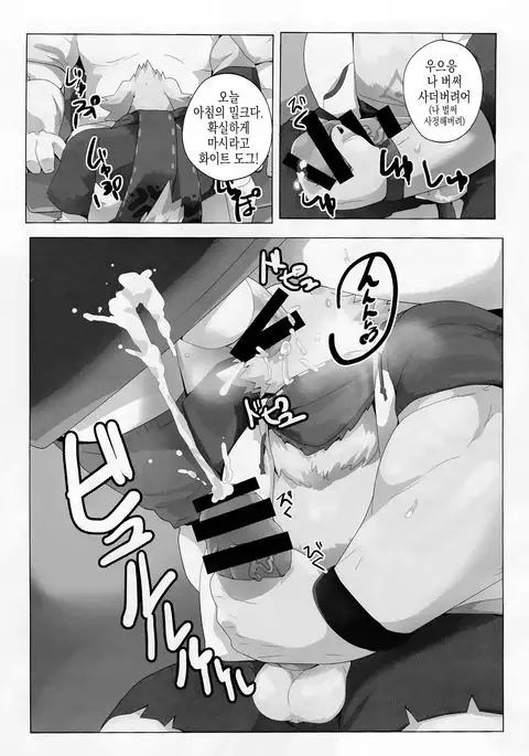 Tokyo Maison 201・202・203