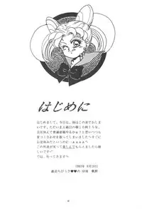 Chibiusa [Sailor Moon]