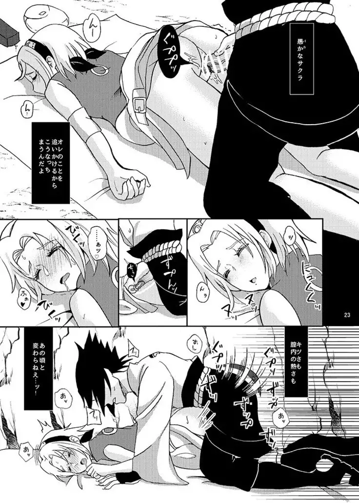 Sleeping Cherry Blossom