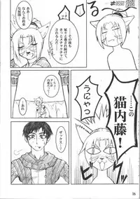 (C67) [ARCHENEMY (Kasumi Ryo, Kamin)] Spezialsitat (Final Fantasy XI)