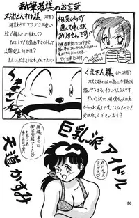 Crimes of Love (Ranma)