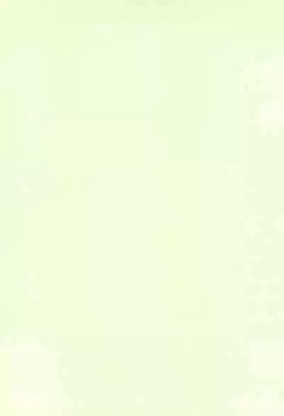 Chicchakute Ecchi Hon 3