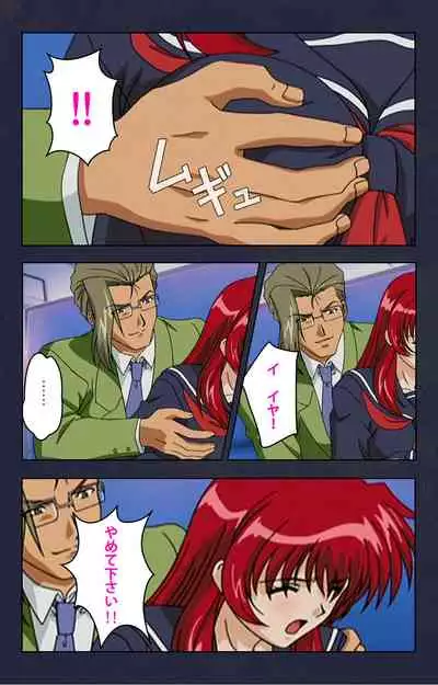 Chikan Densha kanzenhan