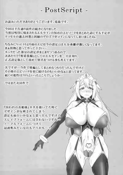 Shield Knight Elsain Vol. 18 Injuu no Jukokuin 2