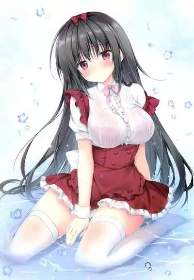 Chotto Ecchi na Hon 2