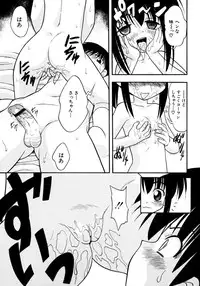 [yeahhhy tomii] Meconopsis