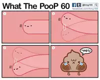 What the PooP [On Going]