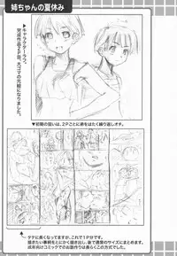 [Shinonome Tarou] Ane Toshite!