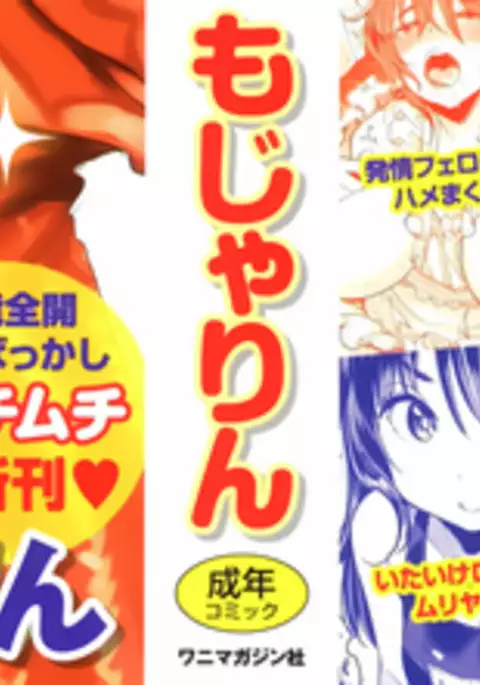 Nyan Nyan Shichau zo !