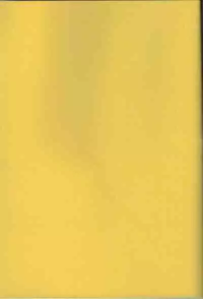 [Tekkyuu Chain (Kirimomi Shoot)] BREAK PHOENIX (Mahou Shoujo Lyrical Nanoha)