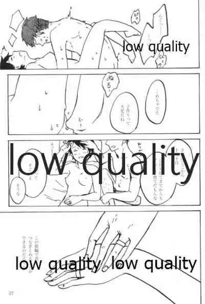 初めての夜、夏の温度に君を抱く。