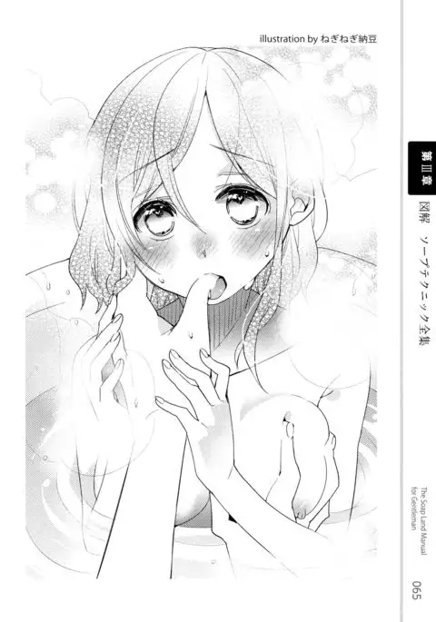 Illustrated Manual of Sex Industry for Beginners With Detailed Explanations of Soaplands