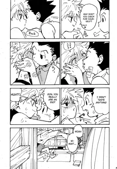 (C93) [Watagashi Maker (Tomiko)] Wakage no Itari | Verdant Youth (Hunter x Hunter) [English] {Chin²}