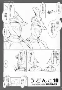 (C89) [UDON-YA (Kizuki Aruchu, ZAN)] Monhan no Erohon G★★★3 11→14 + Omakebon Soushuuhen (Monster Hunter)