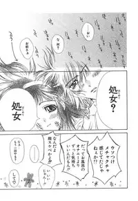 [Kojiki Ohji] Freesia