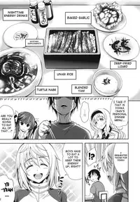 (C84) [Goromenz (Yasui Riosuke)] Shall we...? (IS <Infinite Stratos>) [English] {doujin-moe.us}