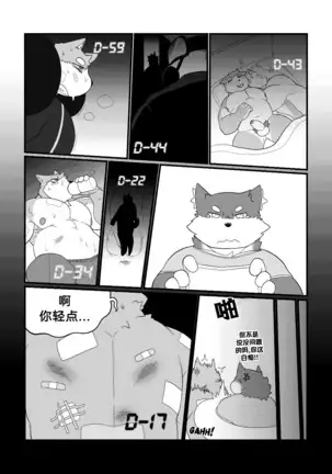 Killer Whale & Niterite 3