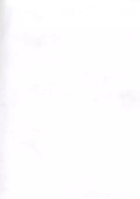 Torokeru Sanrensei Ver. 0