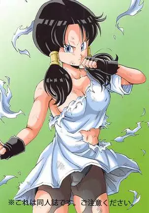 Videl LOVE