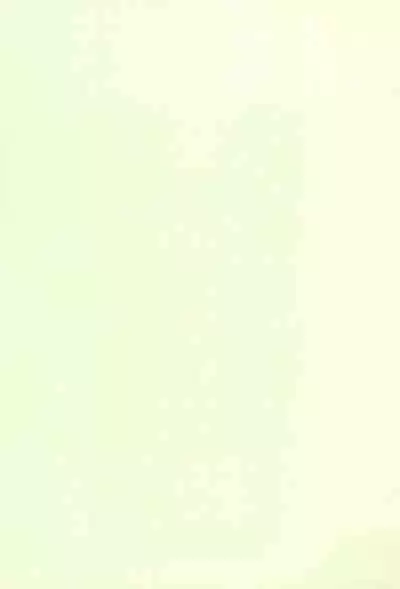 Chicchakute Ecchi Hon 3