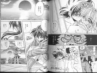 [Appleton] Cherry Town