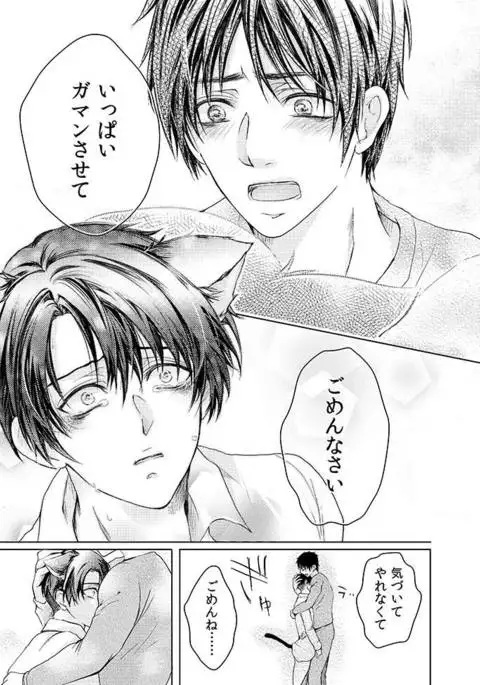 Futago neko hiroimashita