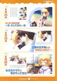 Tsunagaru Bangle - Visual Fan Book