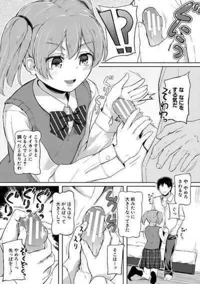 Jitsumai Seikou Kiroku