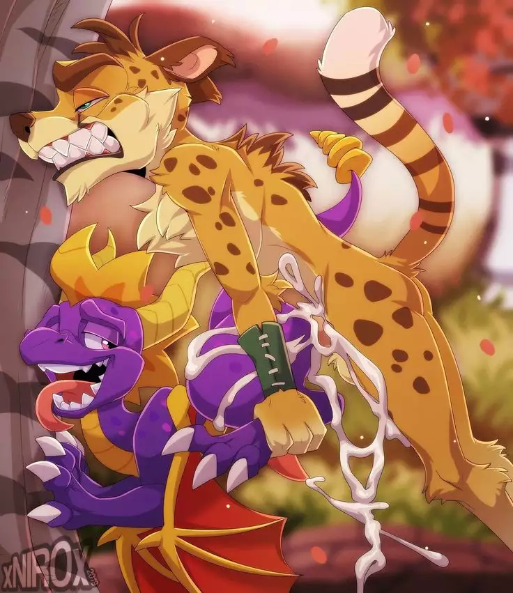 february reward pack