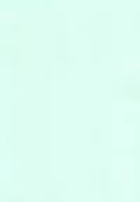 Shin Kegare CG Shuu 2