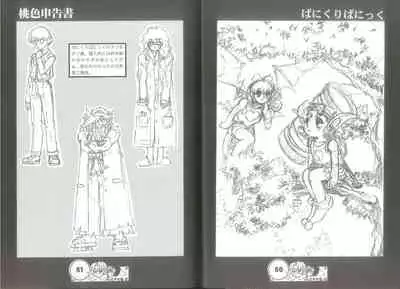 (C57) [蝸牛倶楽部] 桃色申告書 ver.MILLENNIUM FALCON (Various)