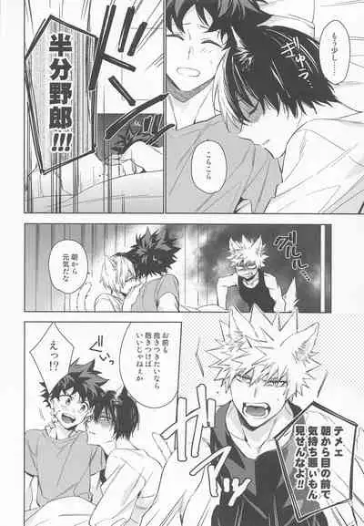 Pet-sama no Iu toori +