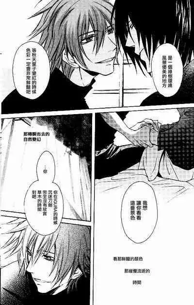 RAGDOLL | 破碎玩偶