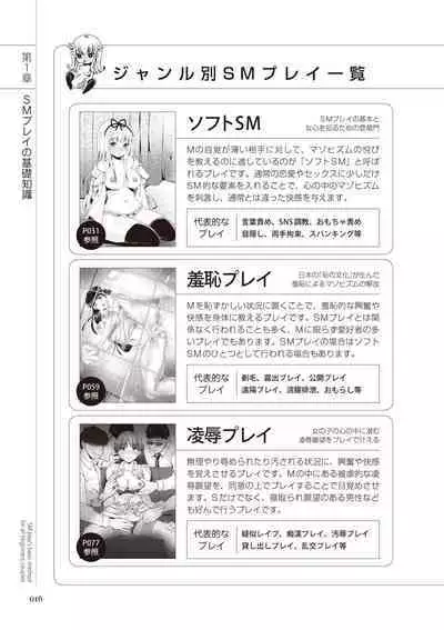 いますぐデキる 図説SMプレイマニュアル