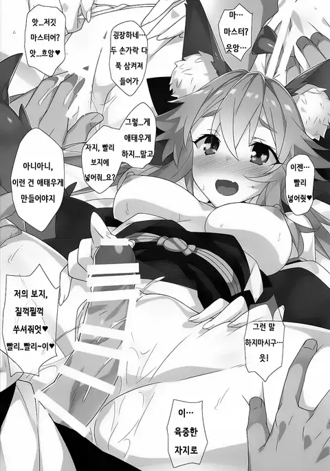 Hanamizake / 꽃구경 술