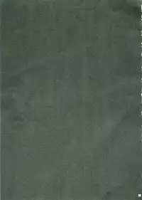 (C69) [18 Monkeys (Inono)] Henshin