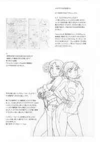 (C74) [Niku Ringo (Kakugari Kyoudai)] NIPPON PRACTICE (Street Fighter)